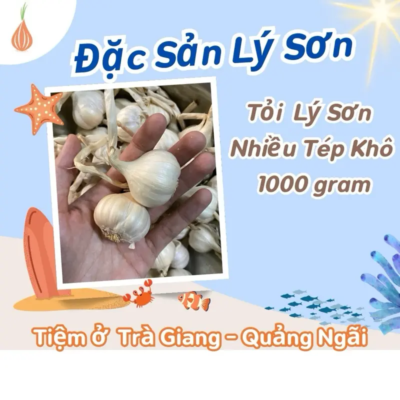 Tỏi Lý Sơn là đặc sản nổi tiếng của tỉnh Quảng Ngãi, được trồng trên đảo Lý Sơn với hương vị cay thơm đặc trưng, vỏ trắng mịn và kích thước nhỏ. Tỏi này được trồng trên loại đất đặc biệt là hỗn hợp cát biển và nham thạch núi lửa, cùng với điều kiện khí hậu khắc nghiệt, đã tạo nên những củ tỏi có chất lượng và dược tính quý. Đặc điểm nhận biết Hình dáng và màu sắc: Củ tỏi có kích thước nhỏ (từ 2 đến 6 cm), vỏ màu trắng mịn, không bóng loáng. Mỗi củ có khoảng 12-20 tép nhỏ, các vân nhỏ, màu nhạt và ít nổi bật. Hương vị: Có vị thanh, ngọt nhẹ, không quá cay nồng. Mùi thơm đặc trưng, dễ chịu và không bị hôi miệng khi ăn sống. Nguồn gốc và sự khác biệt Đất đai và khí hậu: Tỏi được trồng trên đất đặc biệt của đảo Lý Sơn, là sự kết hợp giữa cát biển và nham thạch núi lửa đã phong hóa. Điều kiện thời tiết khắc nghiệt cũng góp phần tạo nên hương vị độc đáo. "Vương quốc tỏi": Đảo Lý Sơn nổi tiếng với những cánh đồng tỏi xanh ngát, được ví như "vương quốc tỏi". Công dụng Kháng khuẩn: Chứa các hợp chất giúp ức chế và ngăn ngừa sự phát triển của vi khuẩn và nấm. Hỗ trợ sức khỏe: Giúp phòng ngừa cảm cúm, hỗ trợ giảm huyết áp và chống oxy hóa. Đào thải độc tố: Hỗ trợ loại trừ độc tố từ kim loại nặng trong cơ thể.