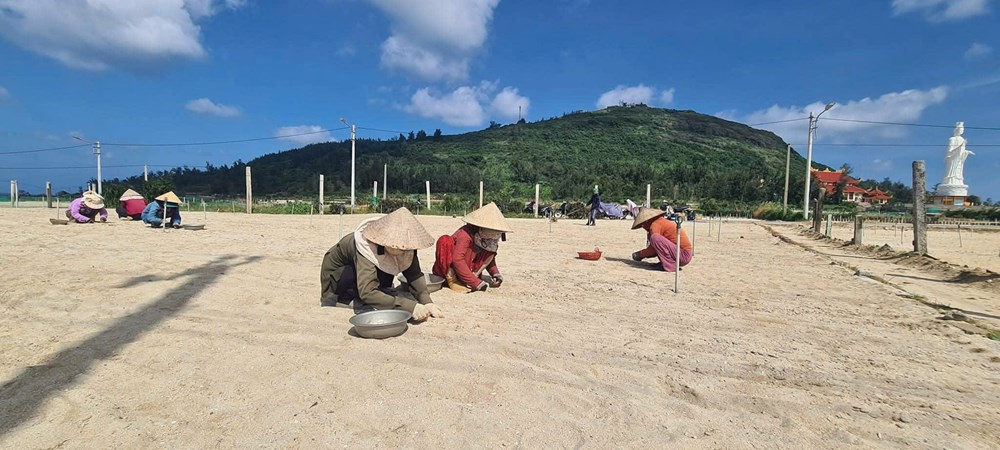 Anh Nguyễn Văn Nhật, Giám đốc Công ty Phú Sinh có đóng góp lớn giúp tỏi Lý Sơn phát triển bền vững theo chuỗi liên kết, nâng cao thu nhập nông dân.